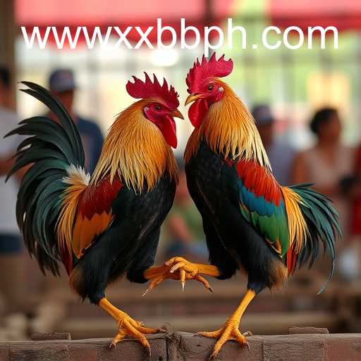 Exploring Sabong Games: Unveiling the World of XXBB.COM