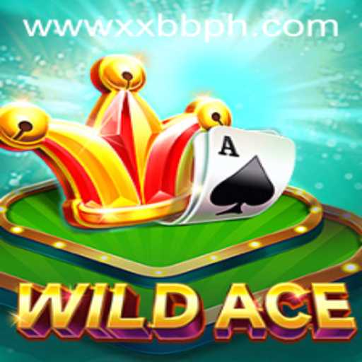 Exploring WildAce: A Thrilling Adventure